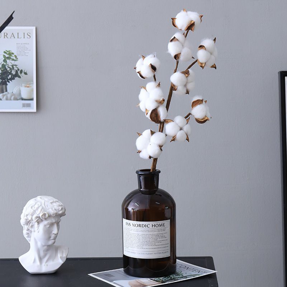 Naturally Cotton Artificial Pl - Bonsai Garden Gift recension och pris
