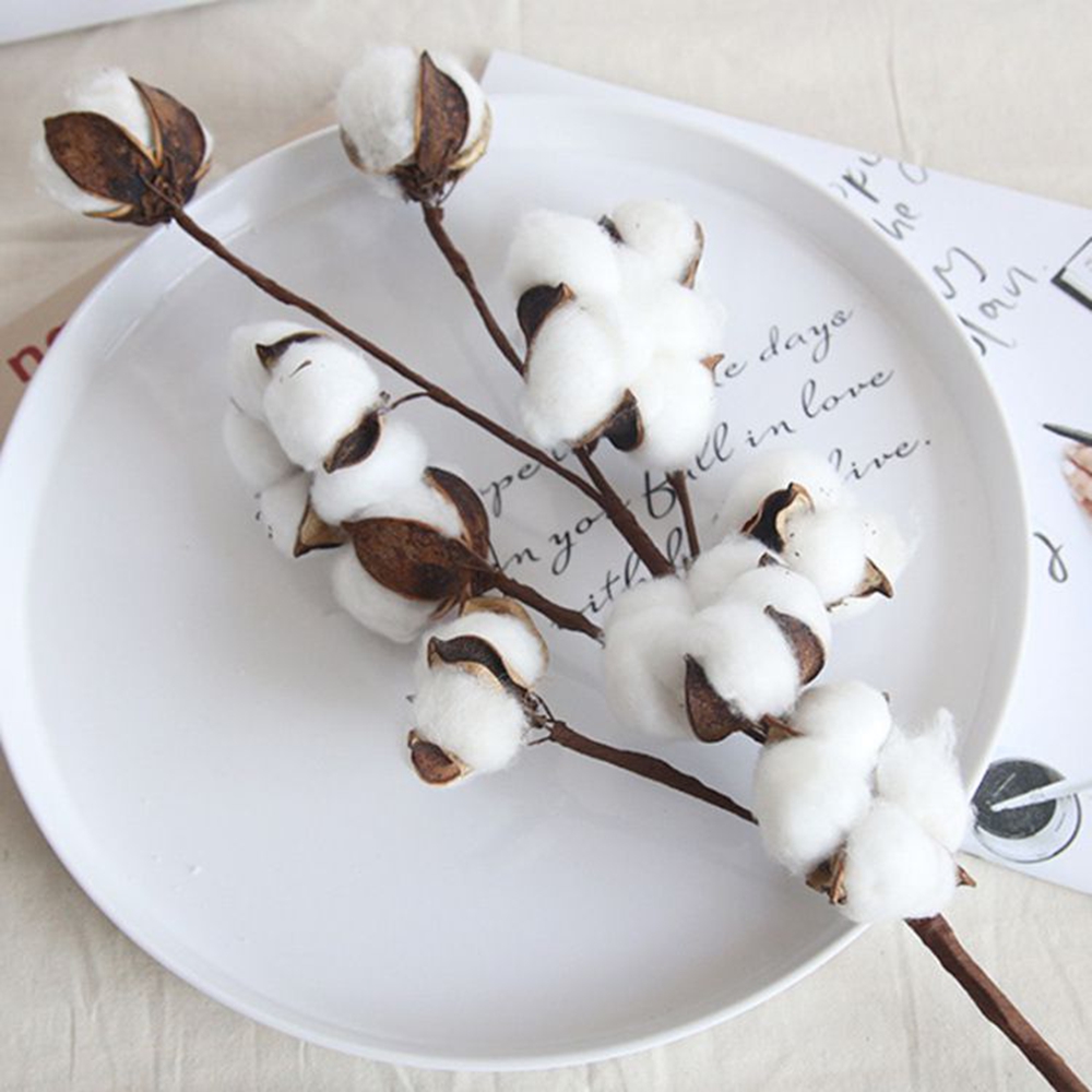 Naturally Cotton Artificial Pl - Bonsai Garden Gift recension och pris
