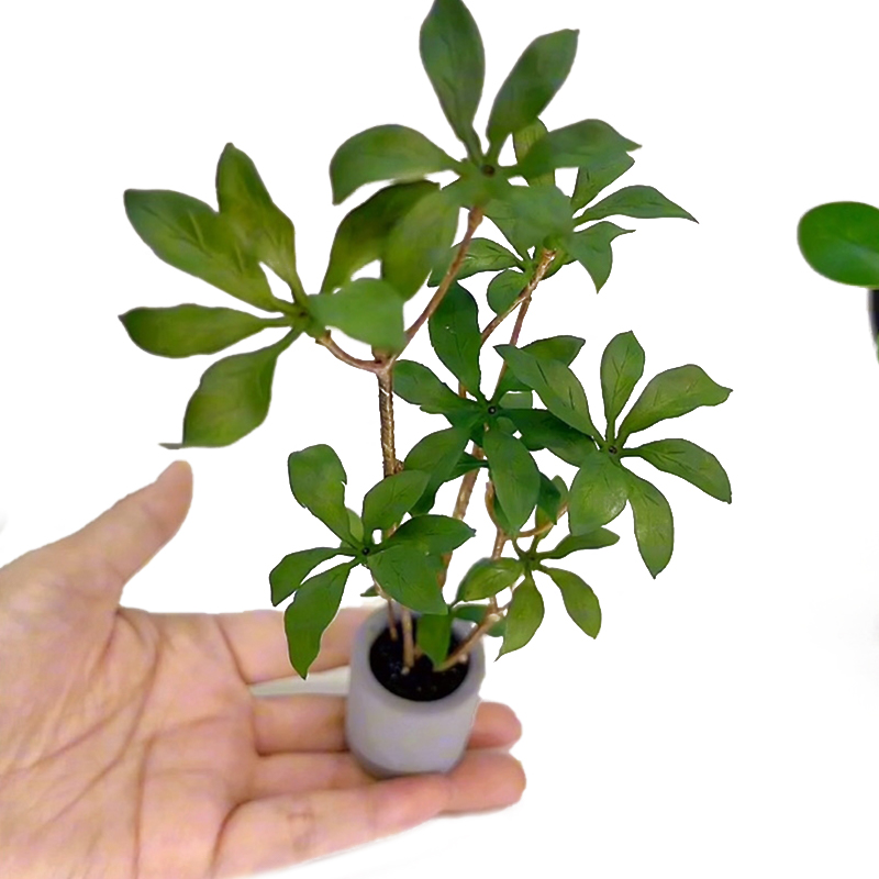 1:6 Dollhouse Miniature Potted - Bonsai Garden For Home recension och pris