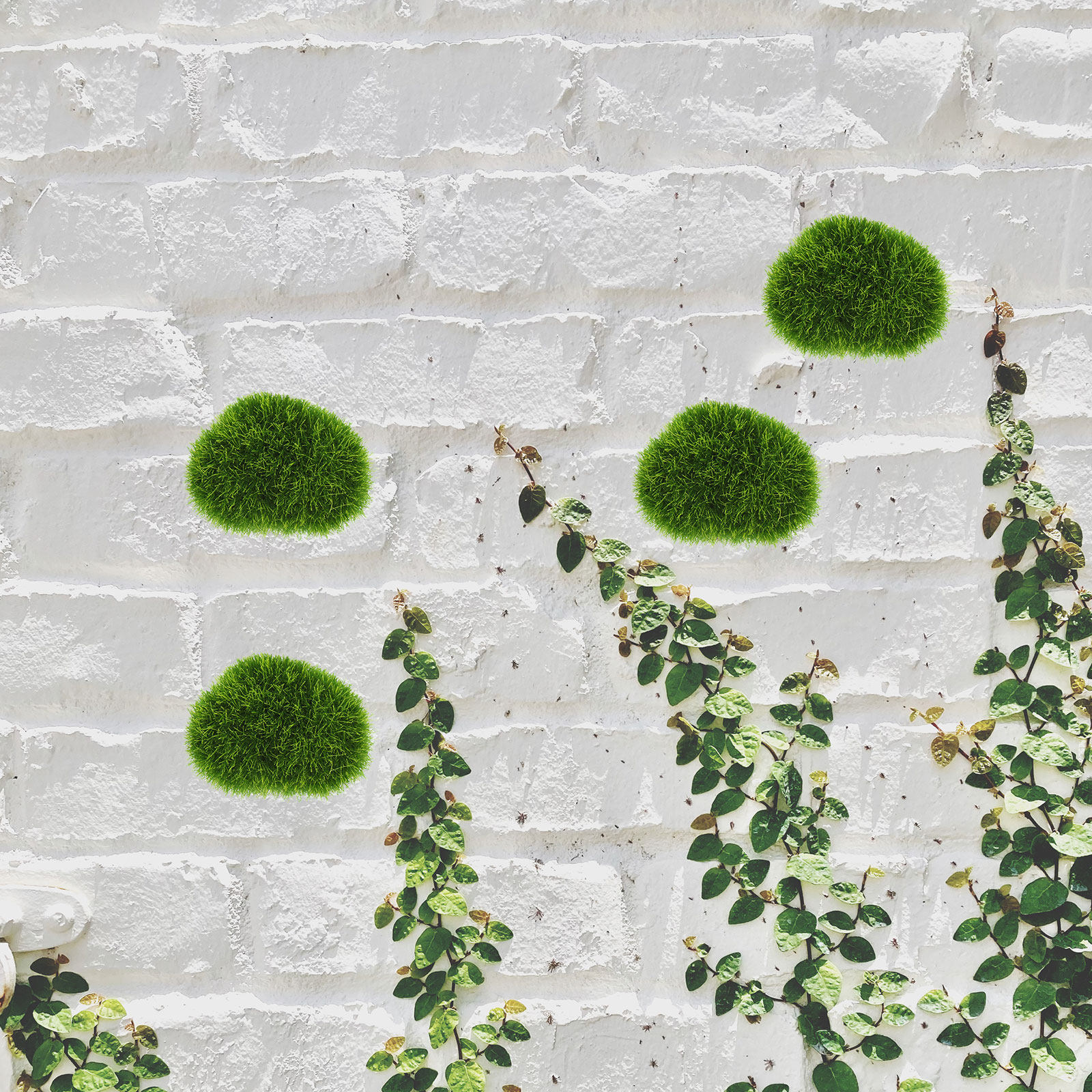 8Pcs Artificial Moss Stones Re - Bonsai Garden Wall recension och pris