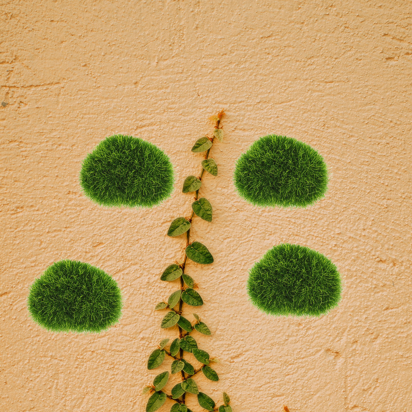 8Pcs Artificial Moss Stones Re - Bonsai Garden Wall recension och pris