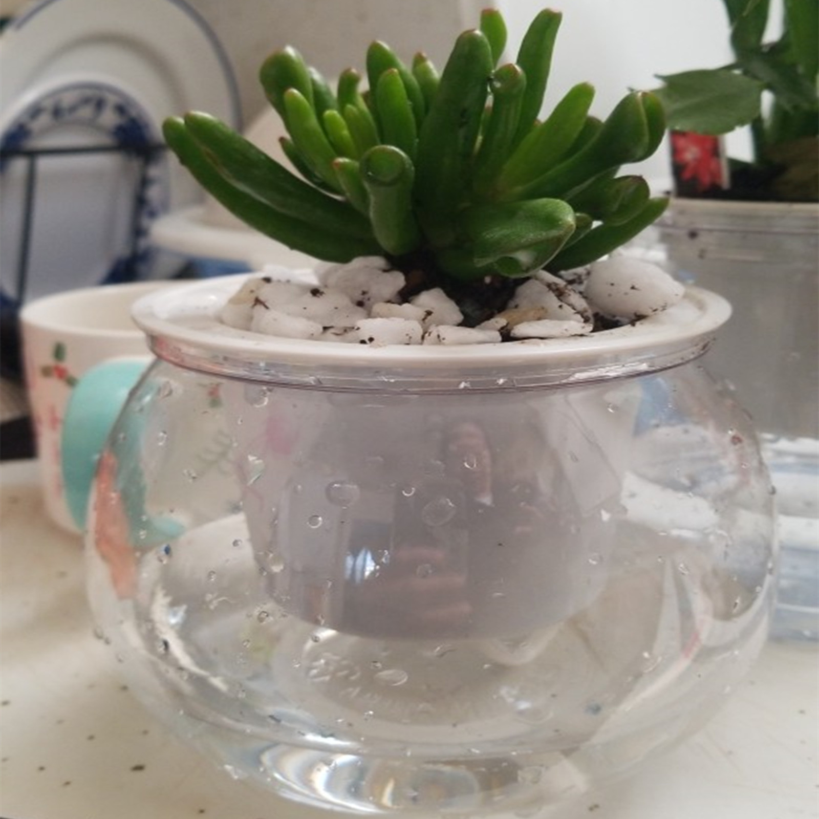 Self Watering Planter Pots Min - Mini Bonsai Zen Garden recension och pris