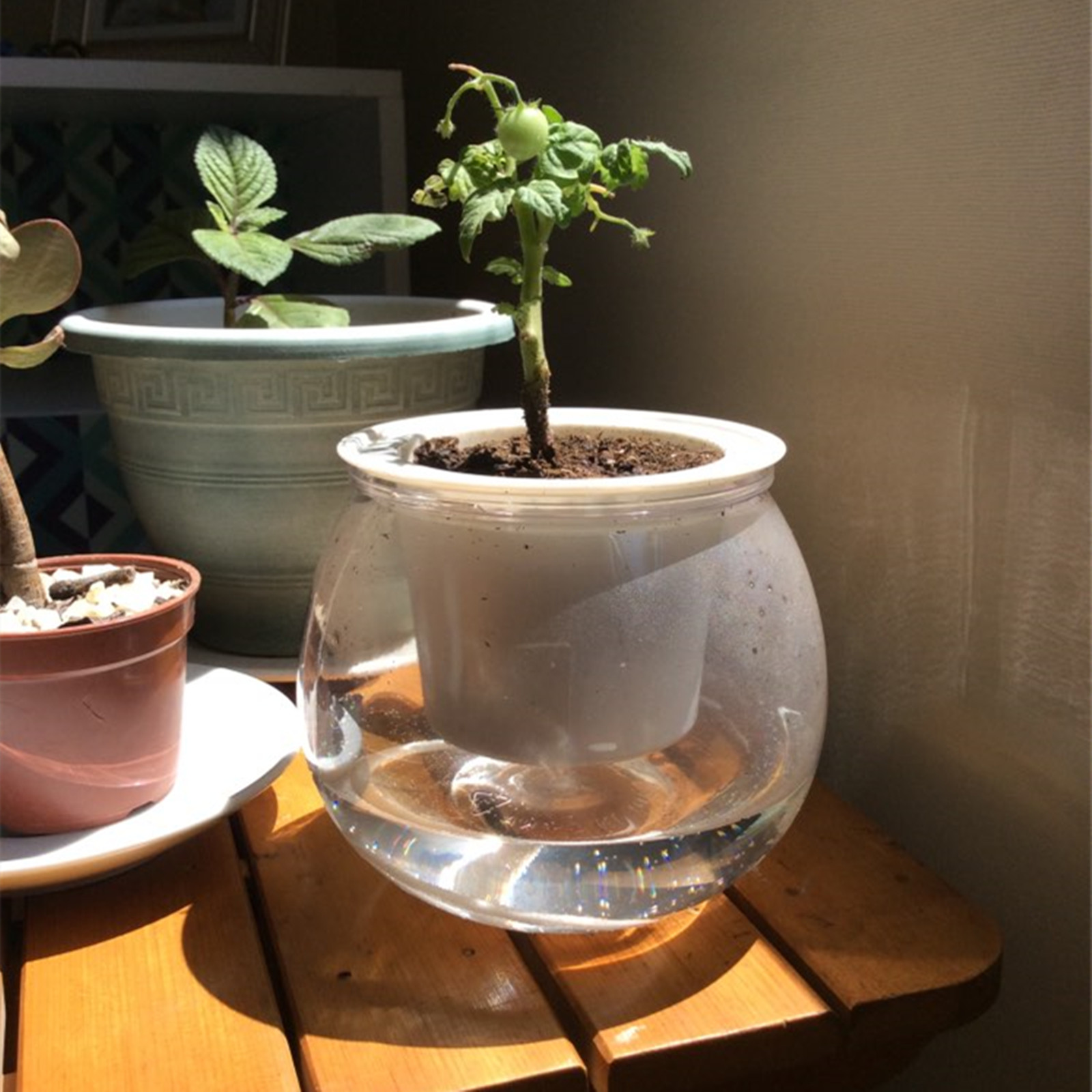 Self Watering Planter Pots Min - Mini Bonsai Zen Garden recension och pris