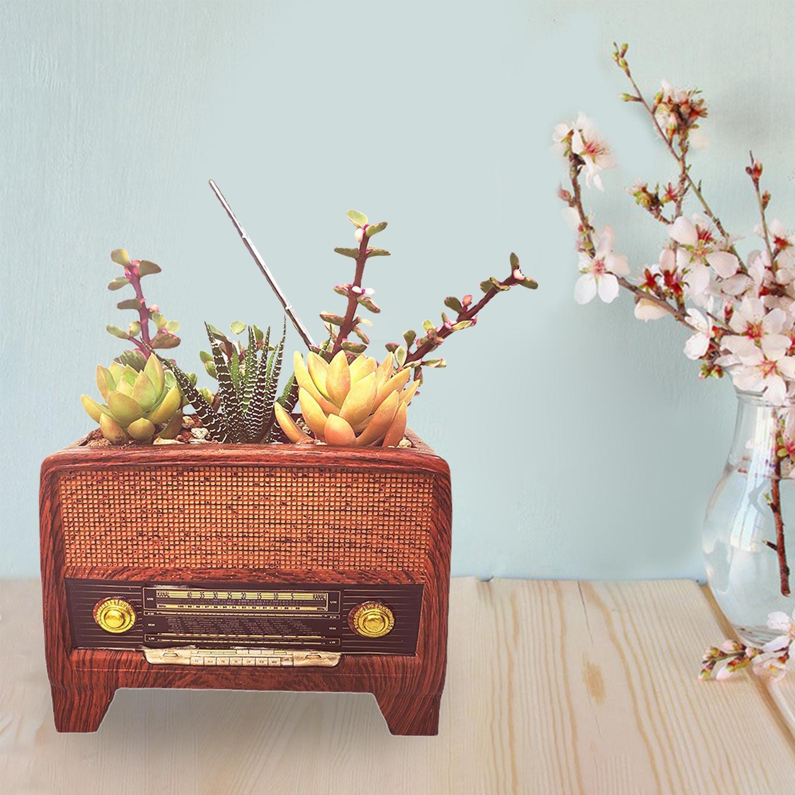 Resin Pot Radio Shape Supplies - Bonsai Garden And Cafe recension och pris