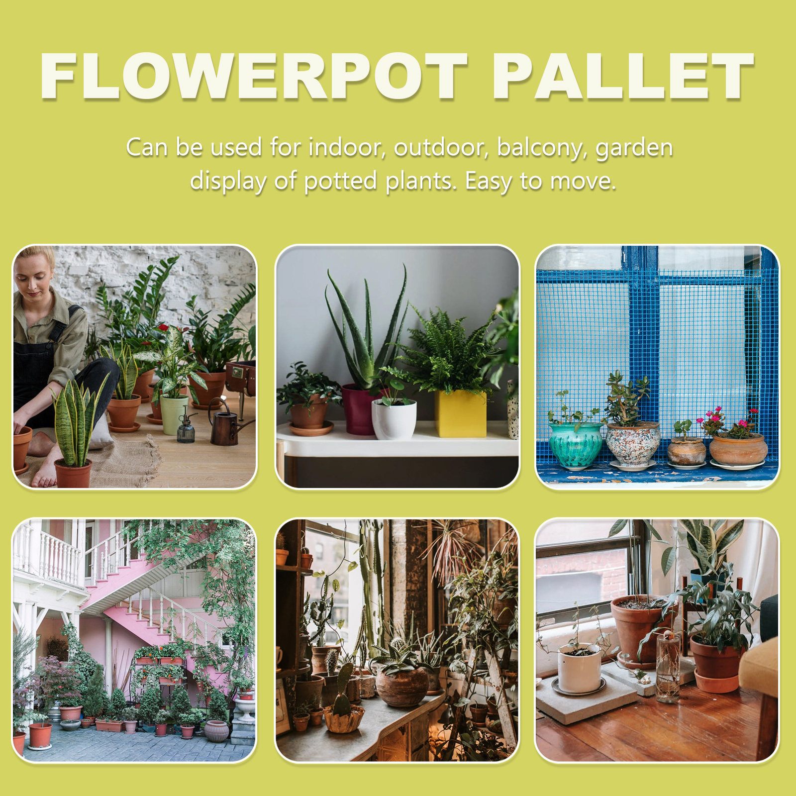 Automatic Water Absorption Bas - Bonsai Garden Usa recension och pris