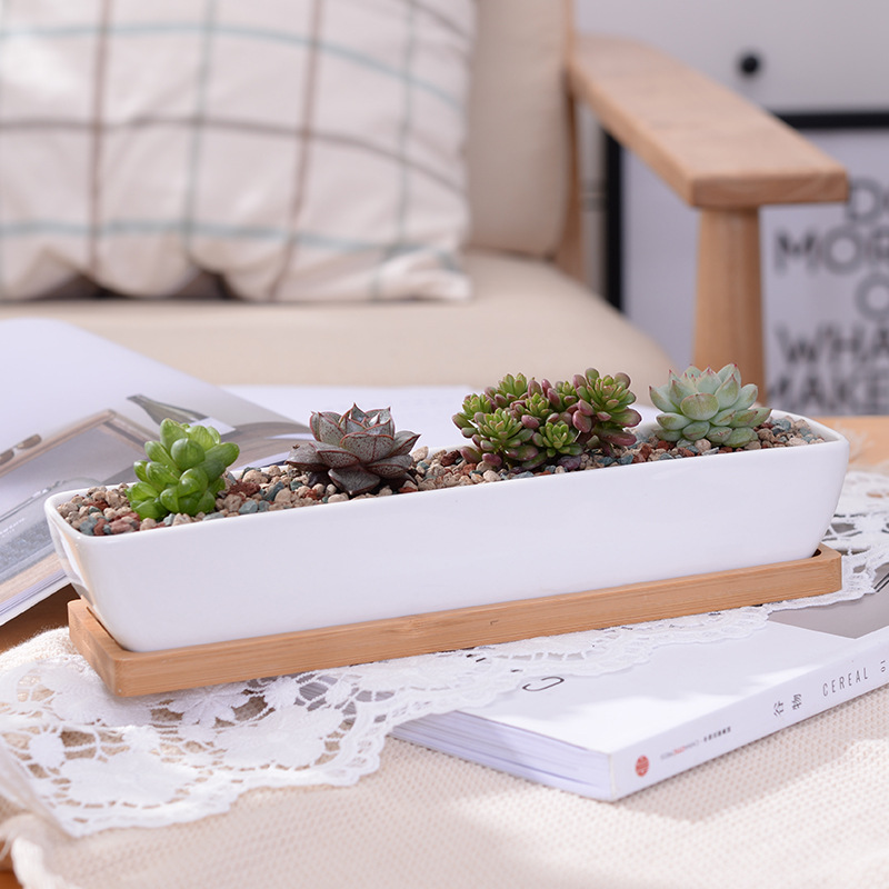 Long Rectangle White Ceramic S - Mini Bonsai Zen Garden recension och pris