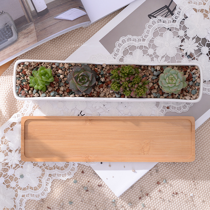 Long Rectangle White Ceramic S - Mini Bonsai Zen Garden recension och pris