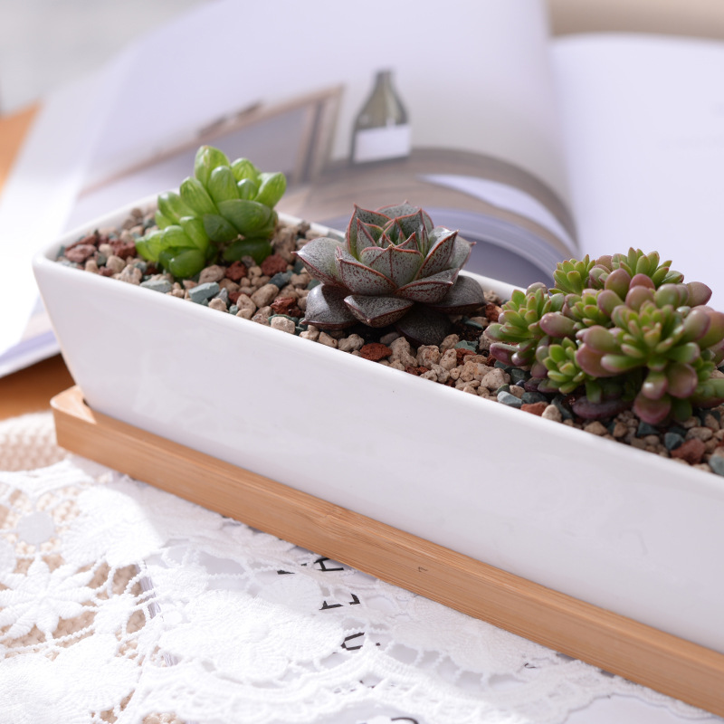 Long Rectangle White Ceramic S - Mini Bonsai Zen Garden recension och pris