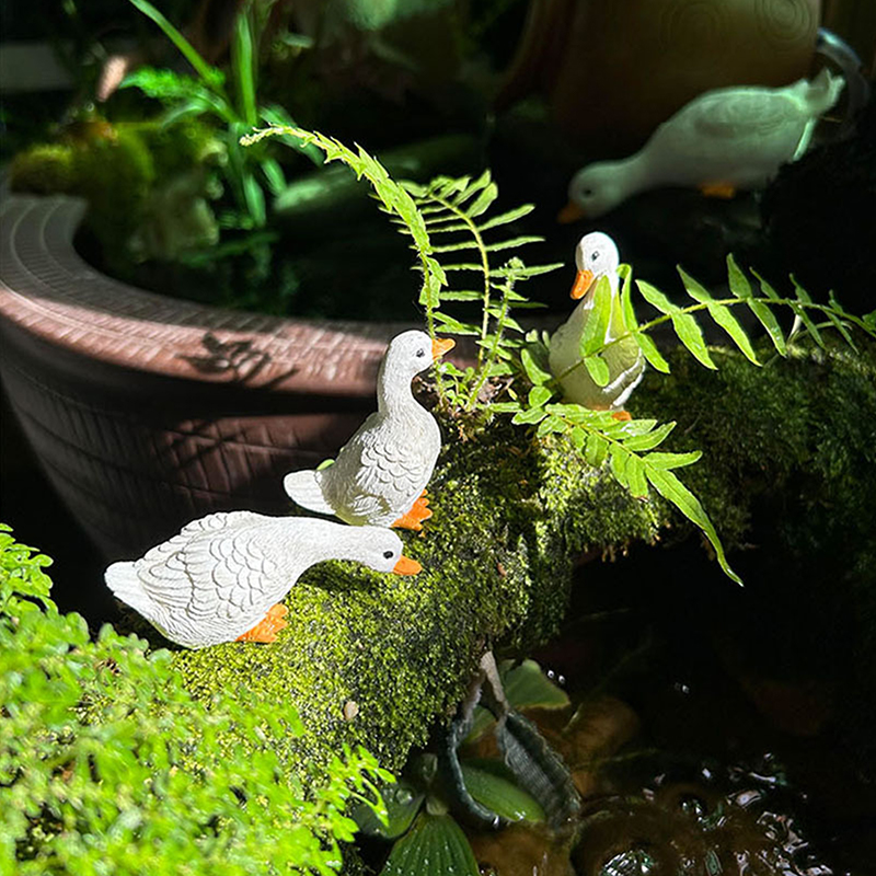 3pcs Cute White Duck Hydroponi - Bonsai Garden Ornaments recension och pris