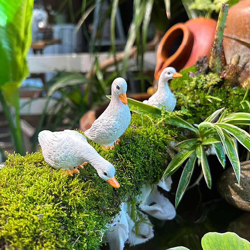 3pcs Cute White Duck Hydroponi - Bonsai Garden Ornaments recension och pris