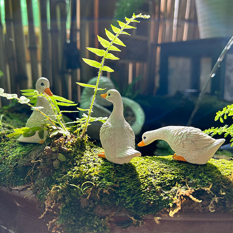 3pcs Cute White Duck Hydroponi - Bonsai Garden Ornaments recension och pris