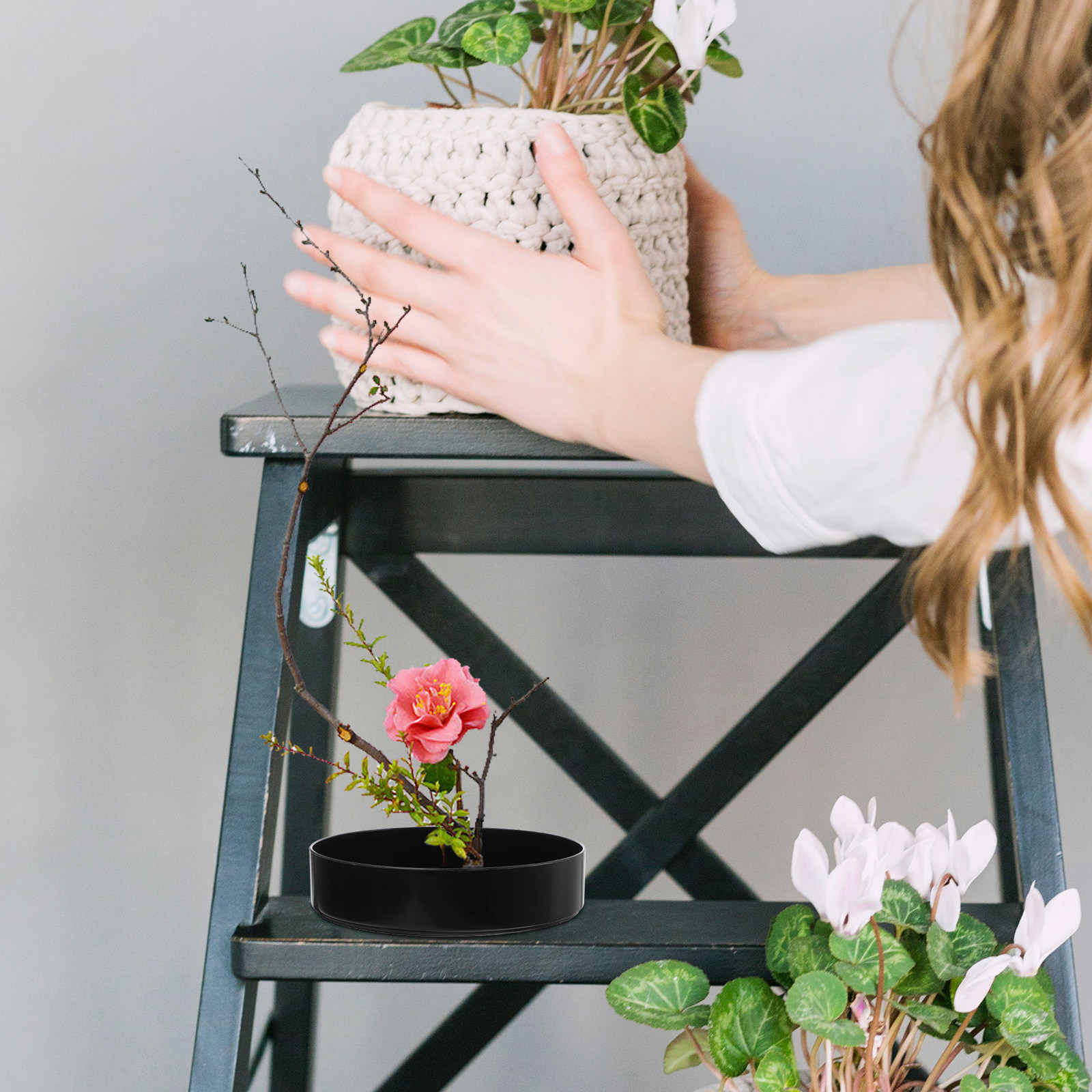 Creative Flower Arrangement Pl - Bonsai Garden Usa recension och pris