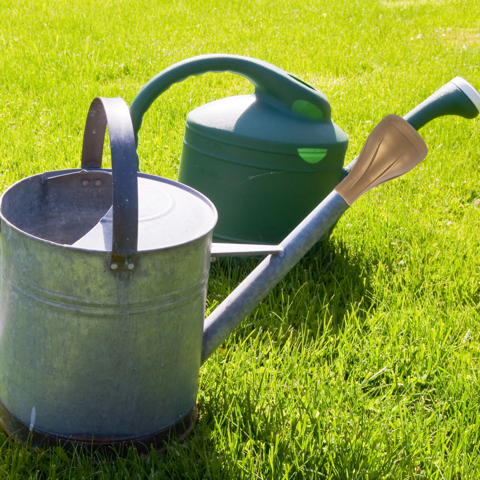 PP Plastic Watering Can Sprink - Bonsai Garden Usa recension och pris
