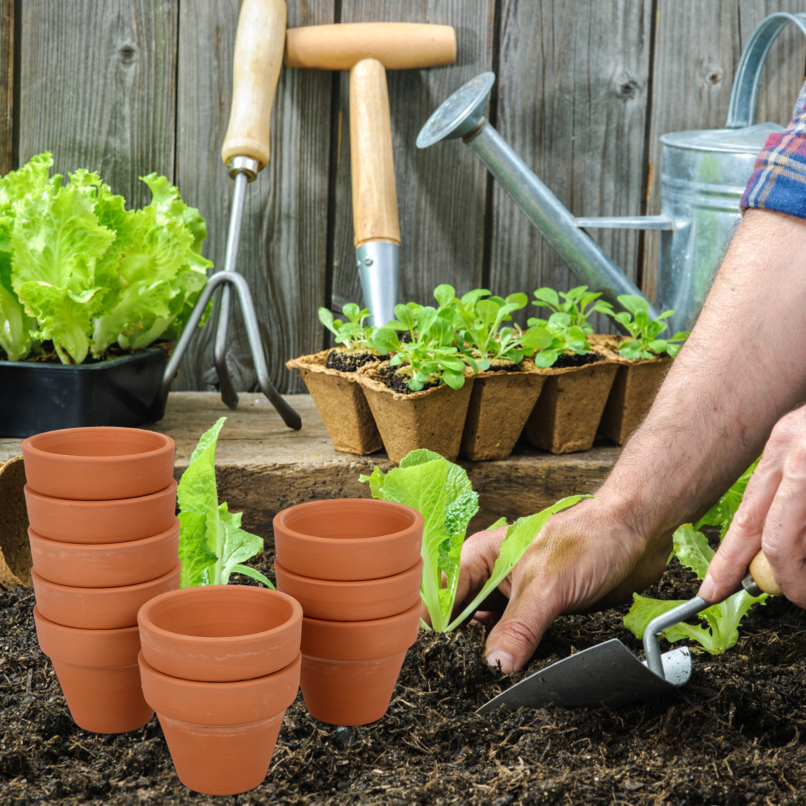 10pcs Mini Terracotta Pot Plan - Mini Bonsai Zen Garden recension och pris
