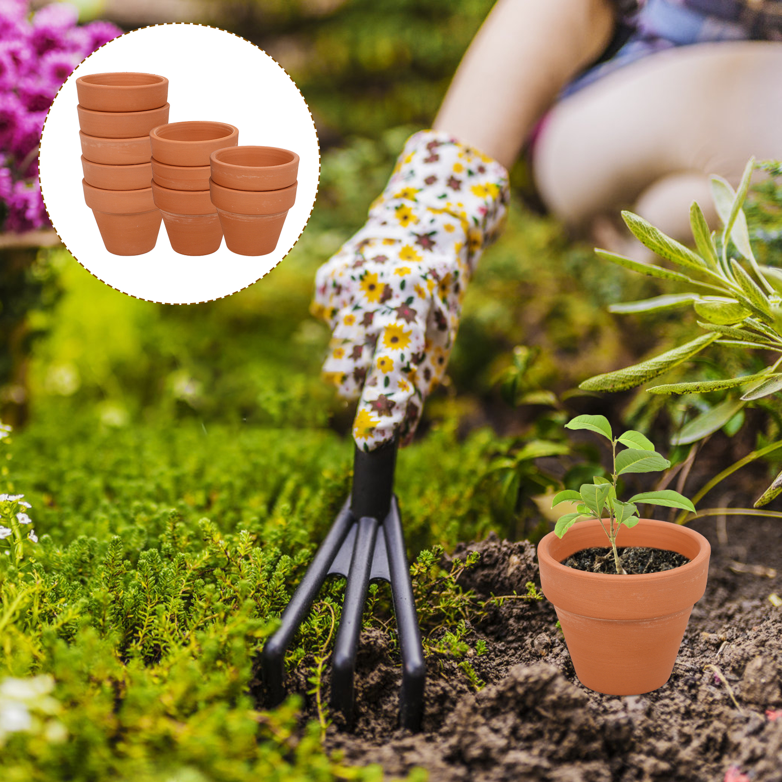 10pcs Mini Terracotta Pot Plan - Mini Bonsai Zen Garden recension och pris