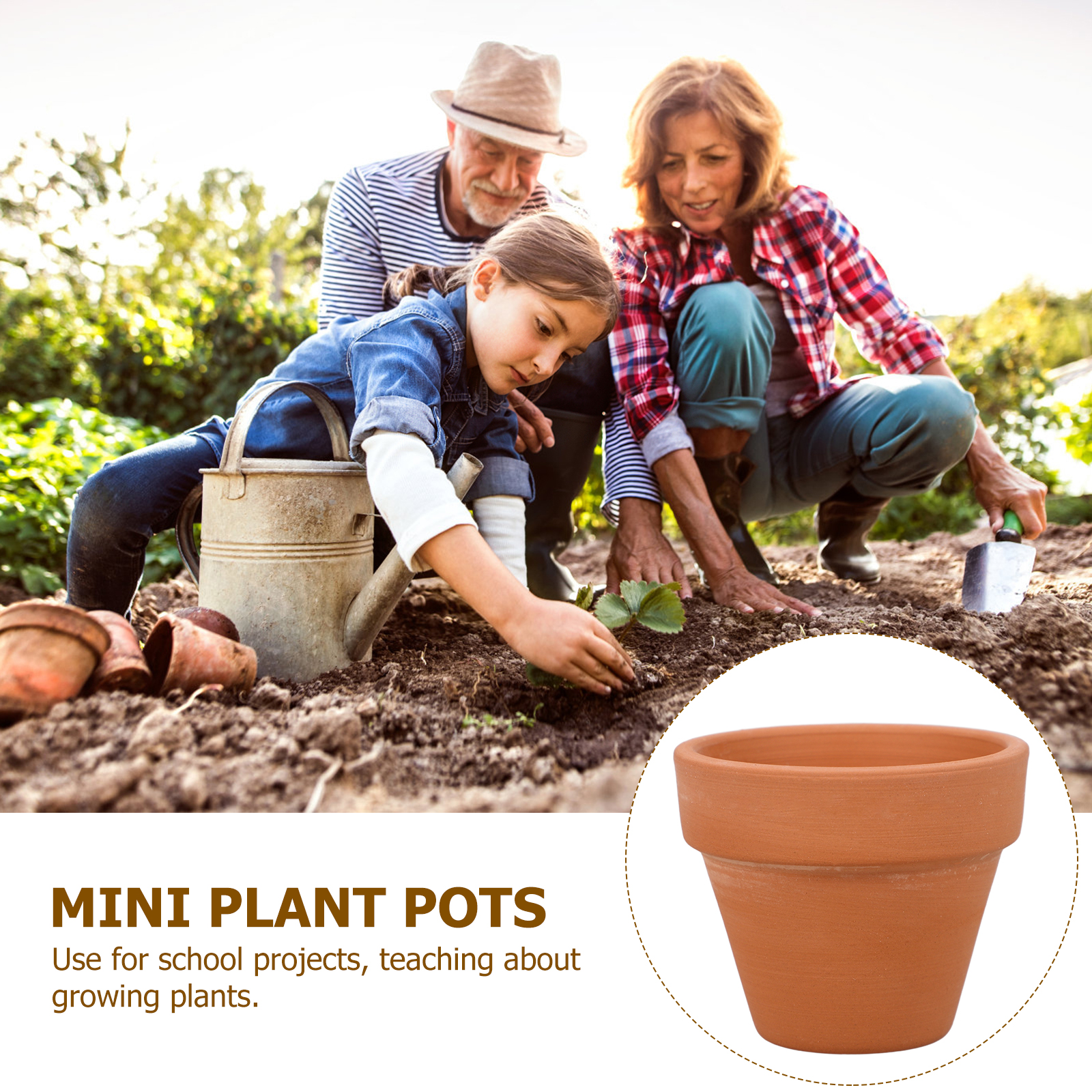 10pcs Mini Terracotta Pot Plan - Mini Bonsai Zen Garden recension och pris