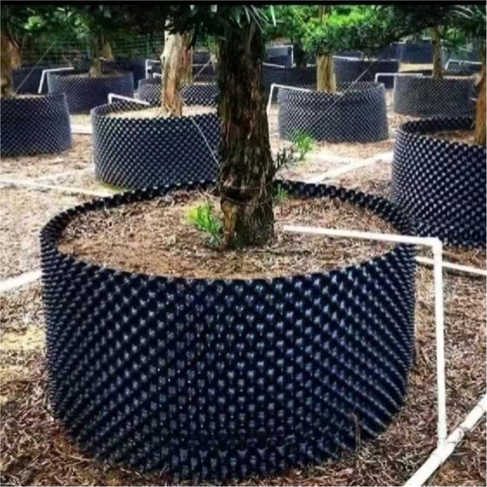 Grow Container Garden Tree Bon - Bonsai Garden Usa recension och pris
