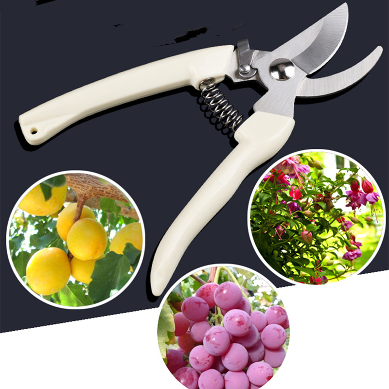 Pruner Orchard and The Garden  - Bonsai Garden Usa recension och pris