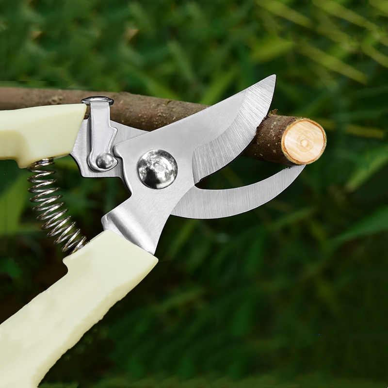 Pruner Orchard and The Garden  - Bonsai Garden Usa recension och pris