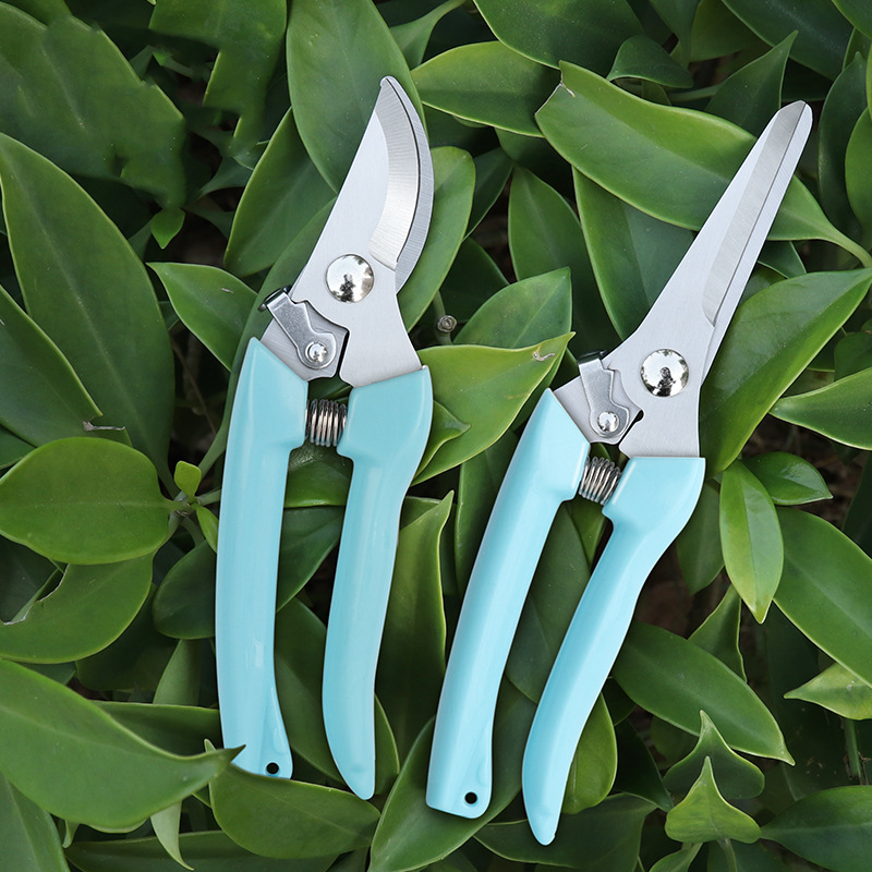Pruner Orchard and The Garden  - Bonsai Garden Usa recension och pris