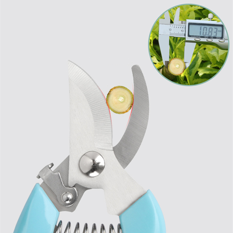 Pruner Orchard and The Garden  - Bonsai Garden Usa recension och pris