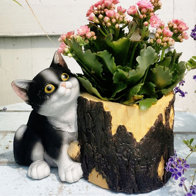 Creative Garden Bonsai Basin R - Bonsai Garden Wall recension och pris