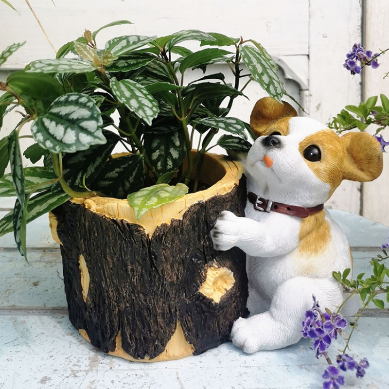Creative Garden Bonsai Basin R - Bonsai Garden Wall recension och pris