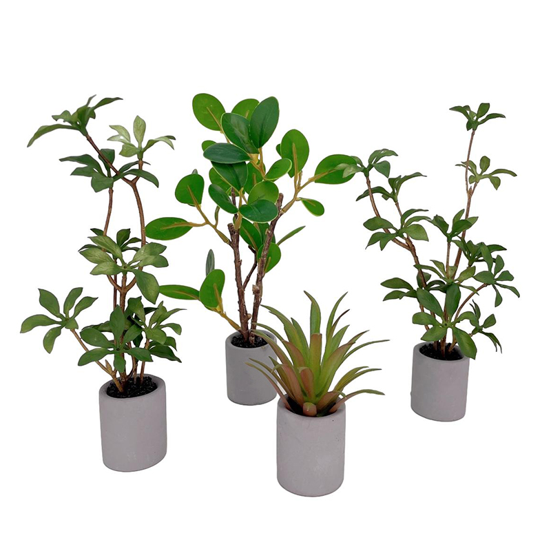 1:6 Dollhouse Miniature Potted - Bonsai Garden Ornaments recension och pris