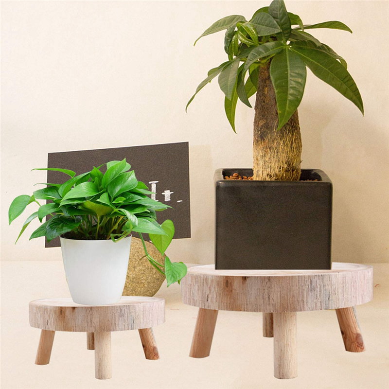 AS96-Mini Wooden Stool Display - Up Bonsai Garden recension och pris