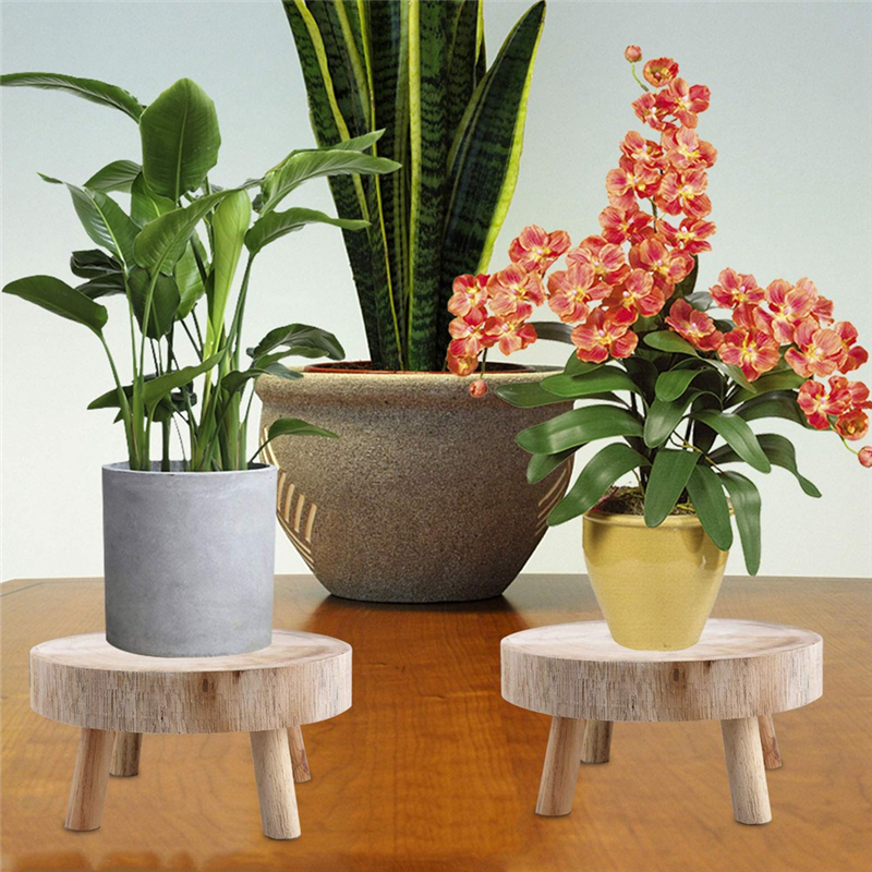 AS96-Mini Wooden Stool Display - Up Bonsai Garden recension och pris