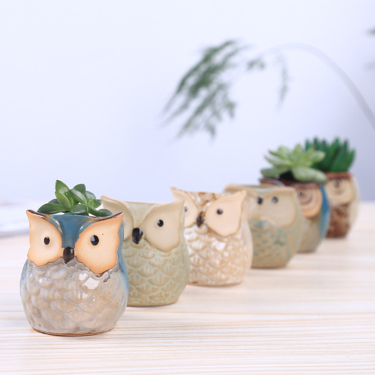 Home Garden Supplies Decoratio - Mini Bonsai Zen Garden recension och pris