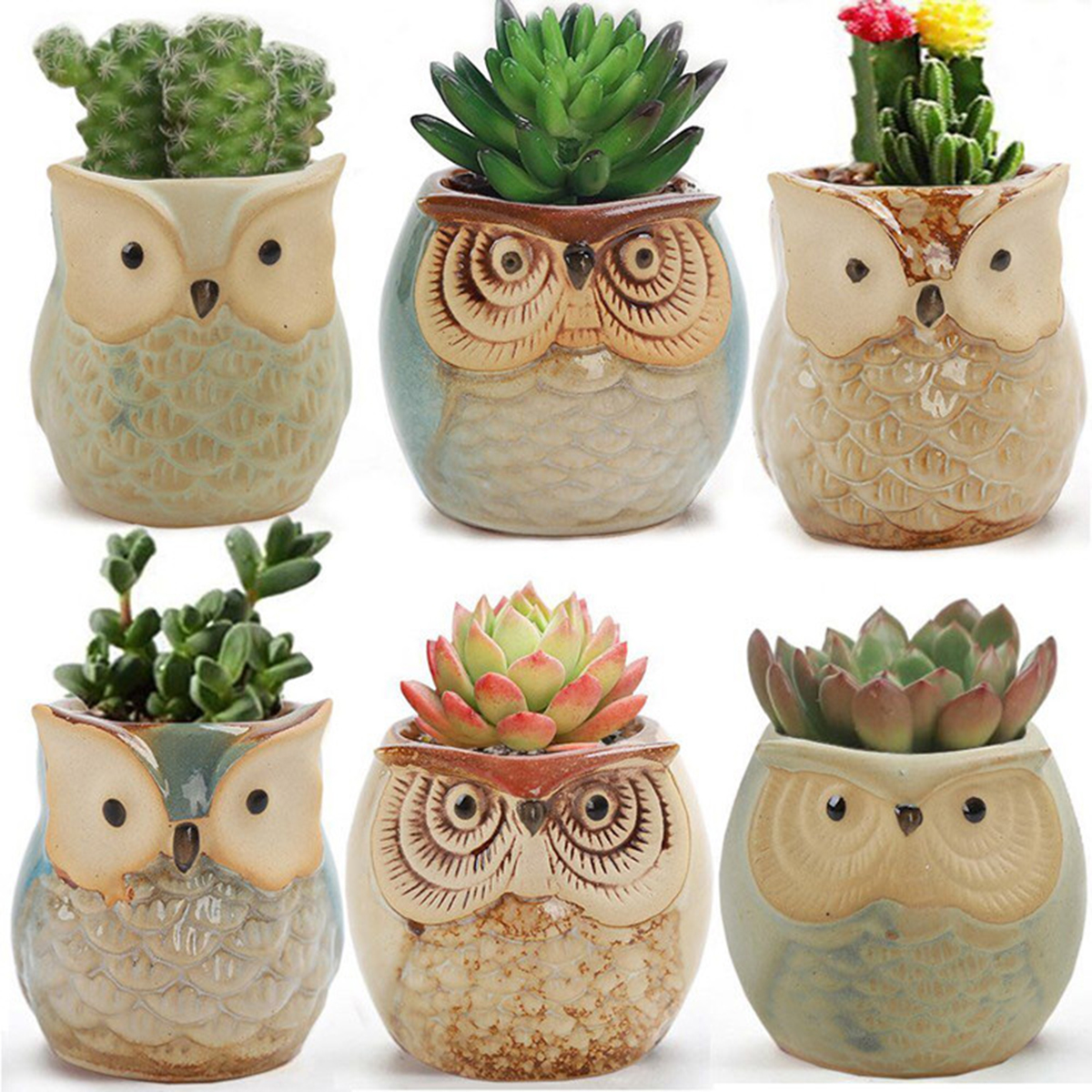 Home Garden Supplies Decoratio - Mini Bonsai Zen Garden recension och pris