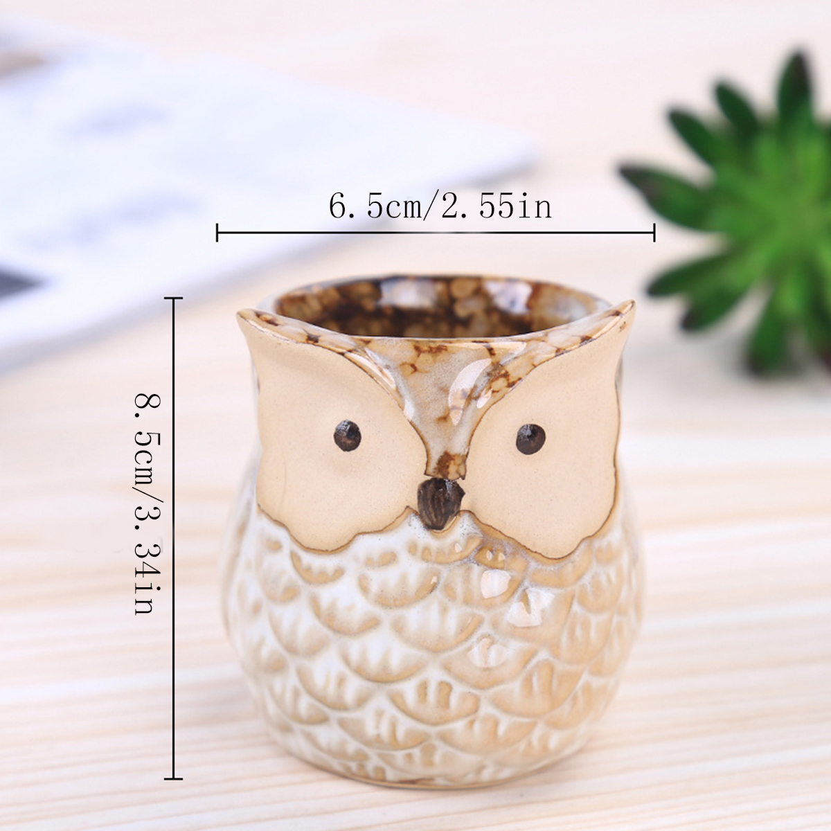 Home Garden Supplies Decoratio - Mini Bonsai Zen Garden recension och pris