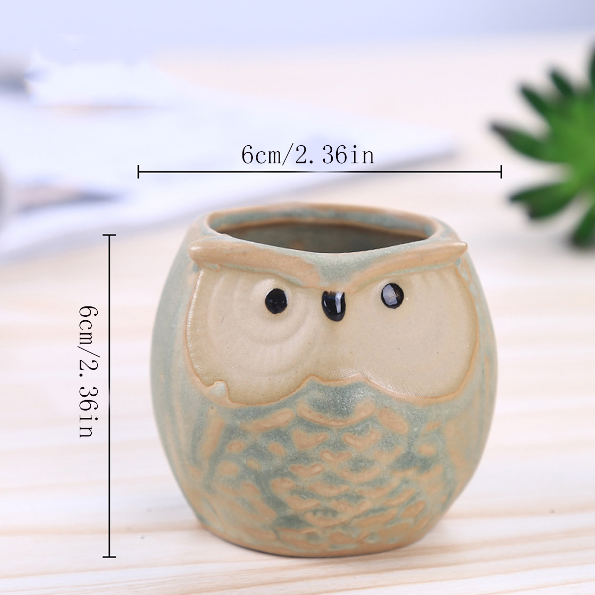 Home Garden Supplies Decoratio - Mini Bonsai Zen Garden recension och pris