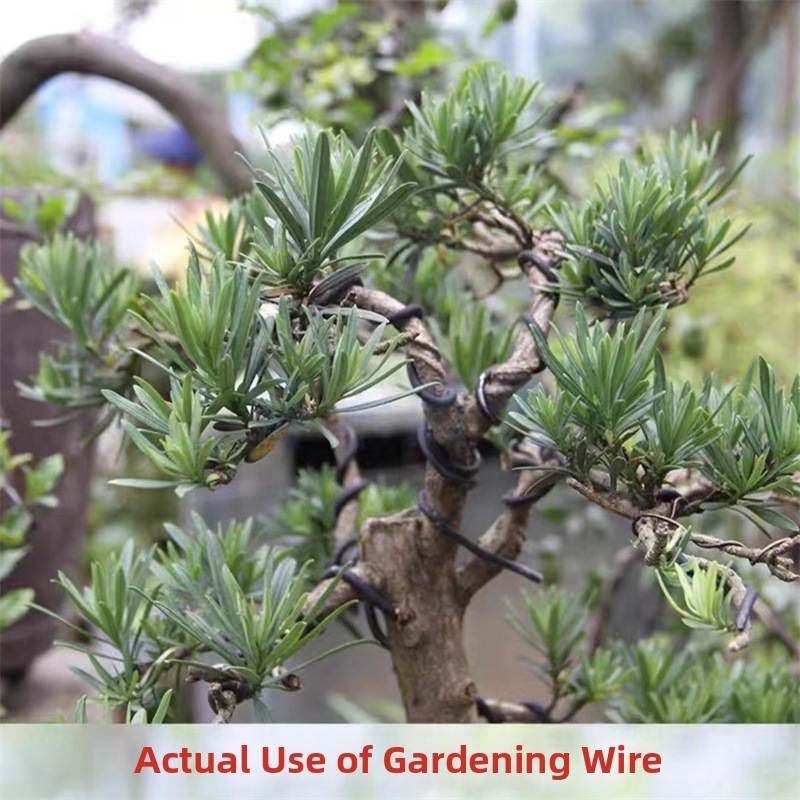 1.5MM Bonsai Wires Aluminum Bo - Bonsai Garden For Home recension och pris