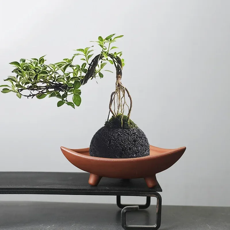 Personalized Ceramic Flower Po - Mini Bonsai Zen Garden recension och pris