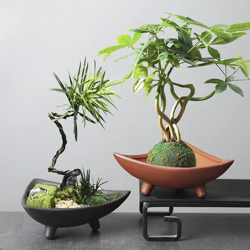 Personalized Ceramic Flower Po - Mini Bonsai Zen Garden recension och pris