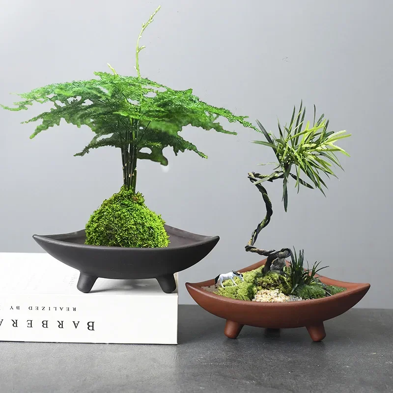 Personalized Ceramic Flower Po - Mini Bonsai Zen Garden recension och pris