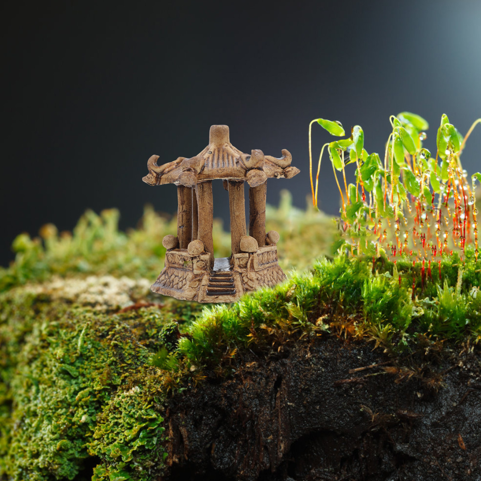 Miniature Ceramic Hexagonal Pa - Bonsai Garden Usa recension och pris