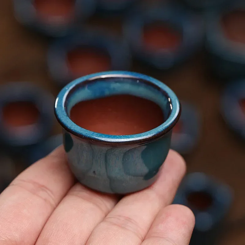 Succulent thumb flowerpot, pur - Mini Bonsai Zen Garden recension och pris