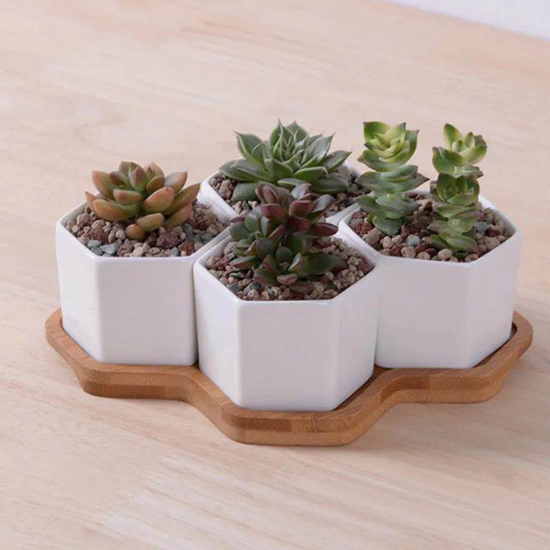 Set of 4/7/9/10 Hexagon Flower - Mini Bonsai Zen Garden recension och pris