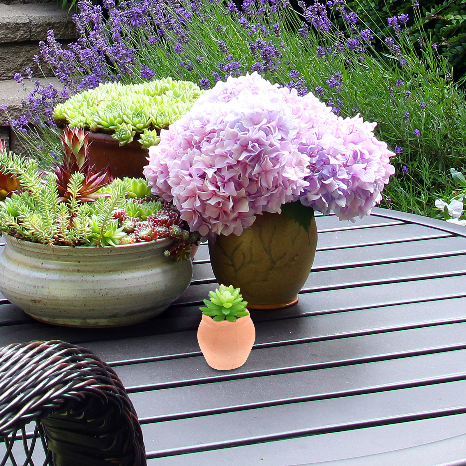 Mini Ceramic Flower Pot Plante - Mini Bonsai Zen Garden recension och pris