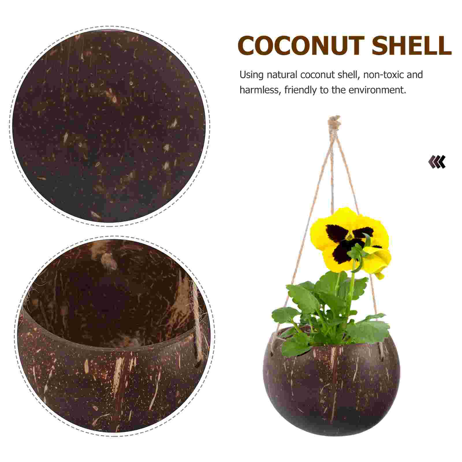 Large Hanging Planter Coconut  - Mini Bonsai Zen Garden recension och pris