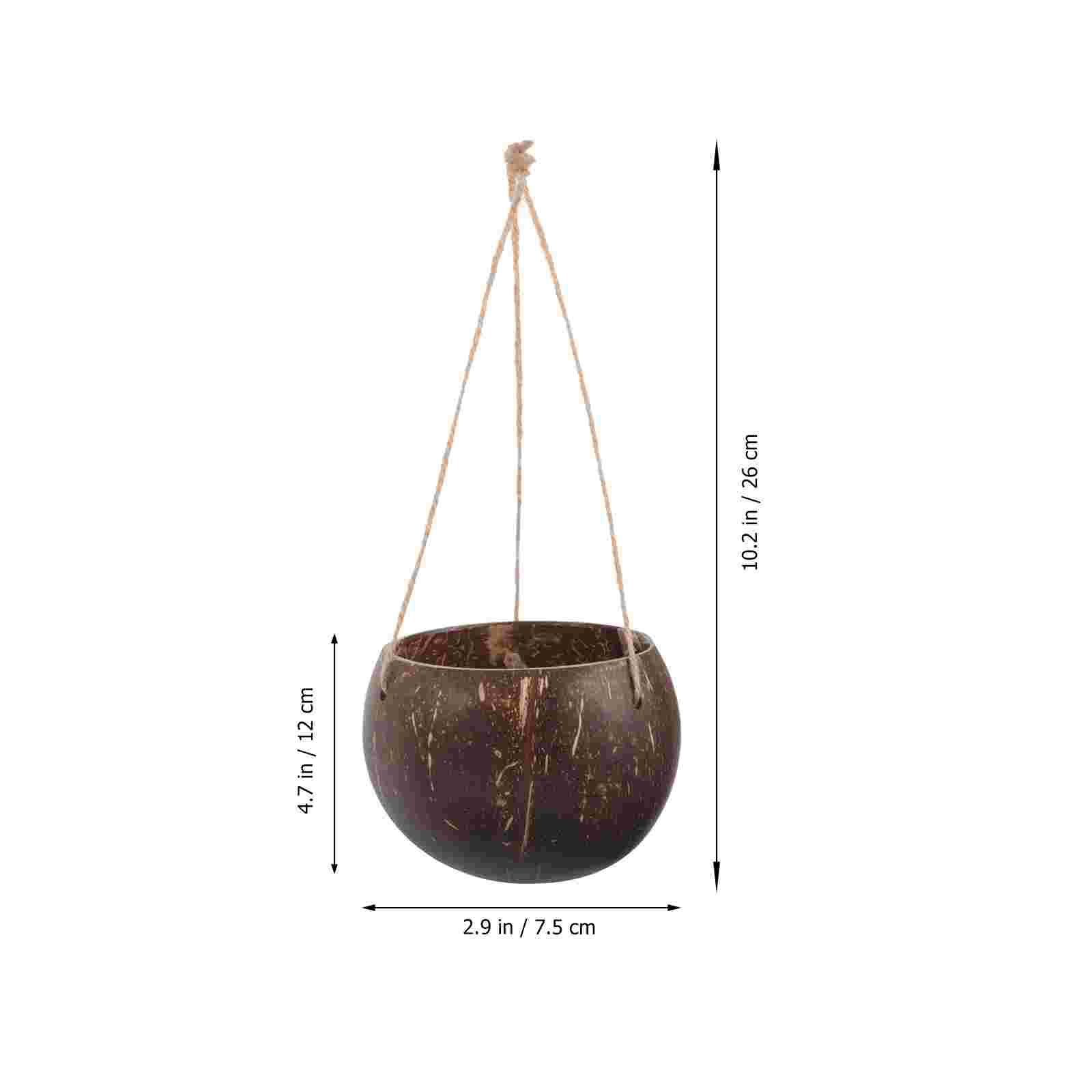 Large Hanging Planter Coconut  - Mini Bonsai Zen Garden recension och pris