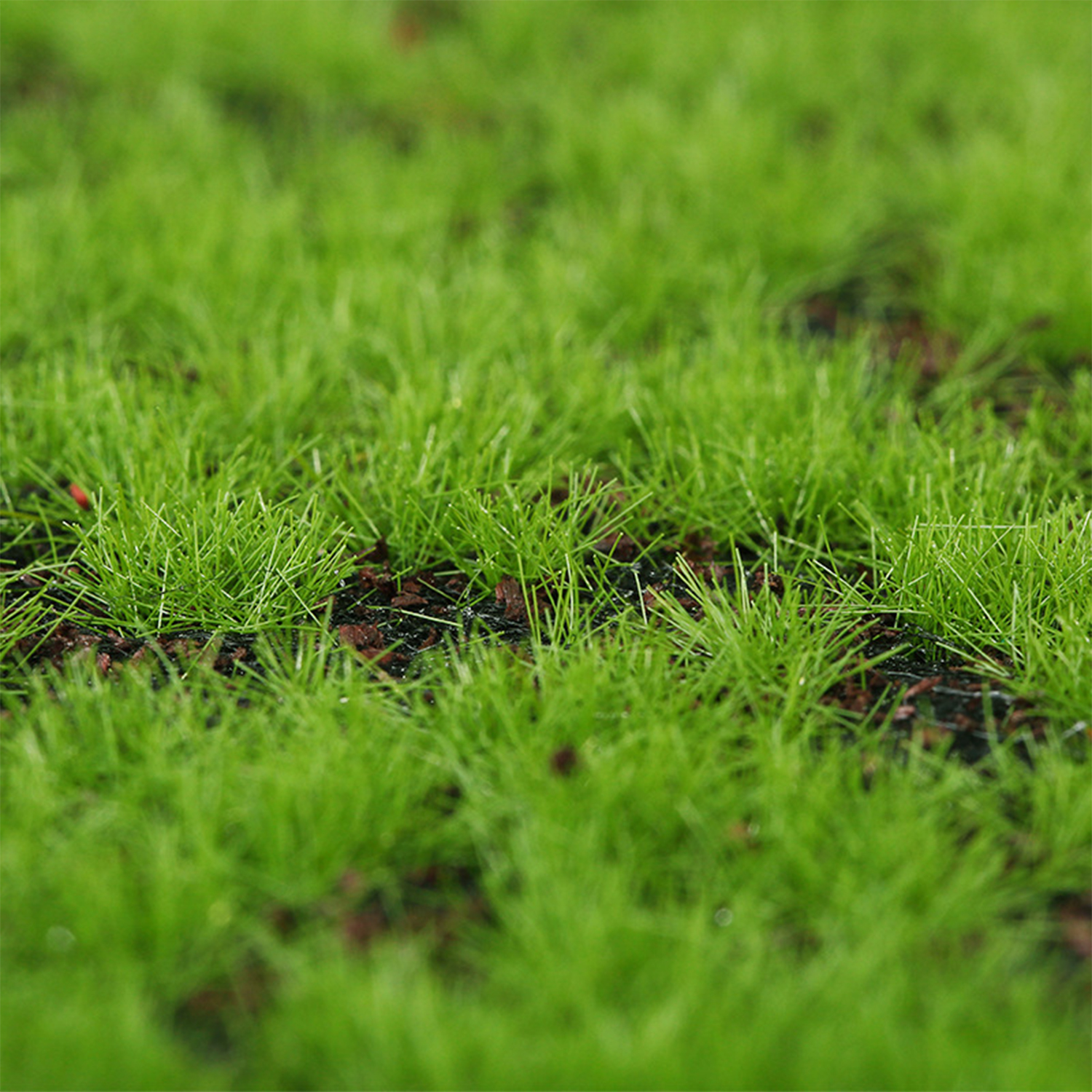 Artificial Moss Turf Simulatio - Bonsai Garden Wall recension och pris