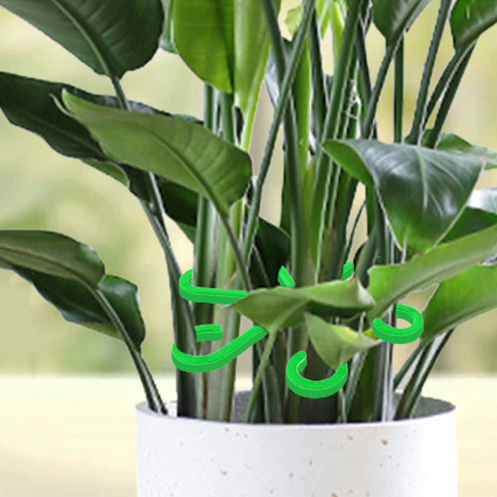 12Pcs Garden Plant Support Cli - Bonsai Garden Usa recension och pris