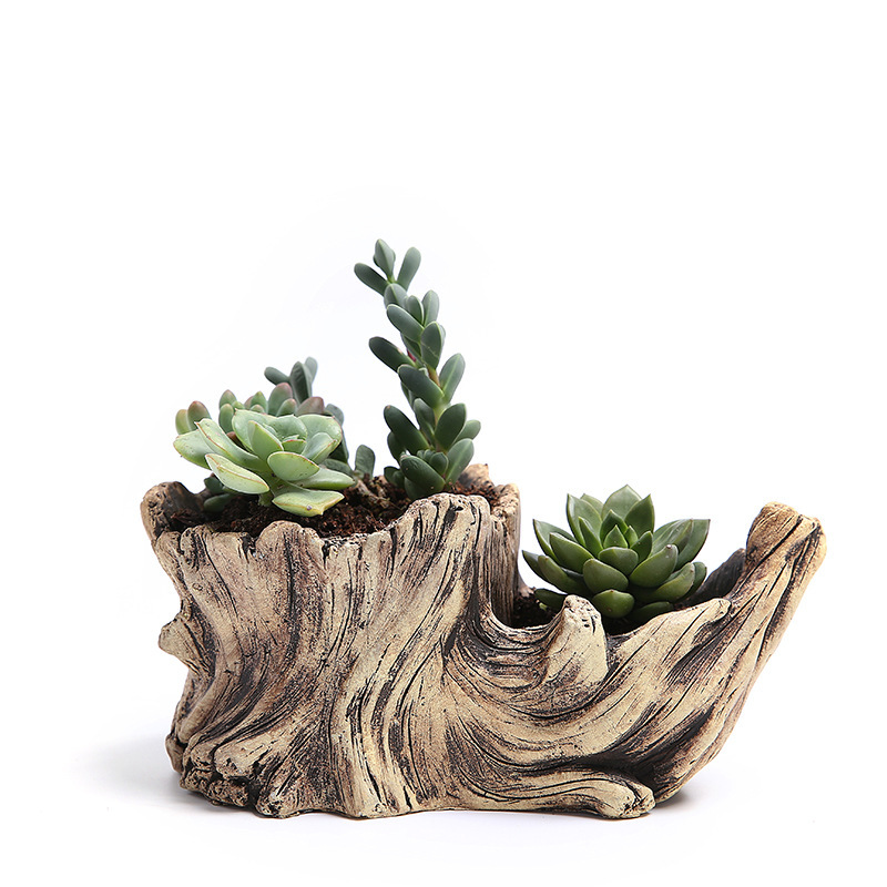 Succulent Flower Pot Wood Tree - Mini Bonsai Zen Garden recension och pris