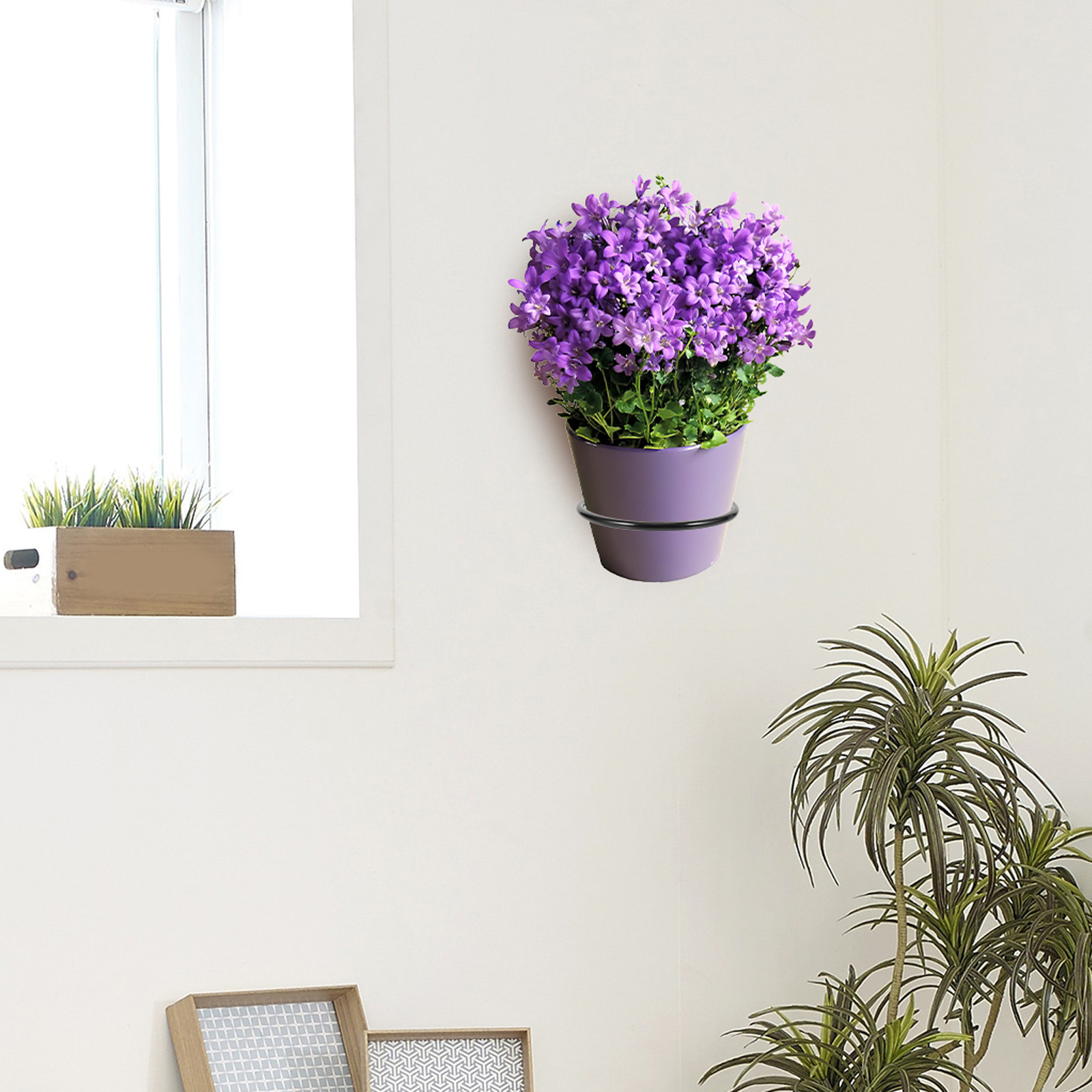 3Pcs Plant Pot Holder Wall Mou - Bonsai Garden Usa recension och pris
