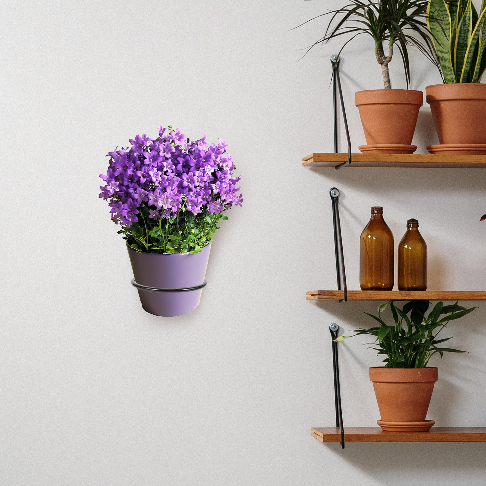 3Pcs Plant Pot Holder Wall Mou - Bonsai Garden Usa recension och pris